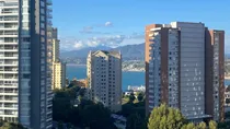 Comprar Arriendo Año Corrido Cómodo Depto. 2d, Costa De Montemar.