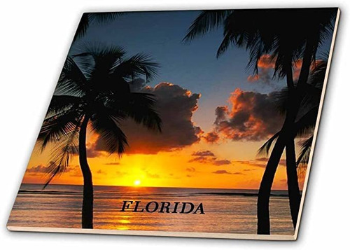 3drose Ct  62153  2 Florida Sunset Con Palmeras Azulejos D