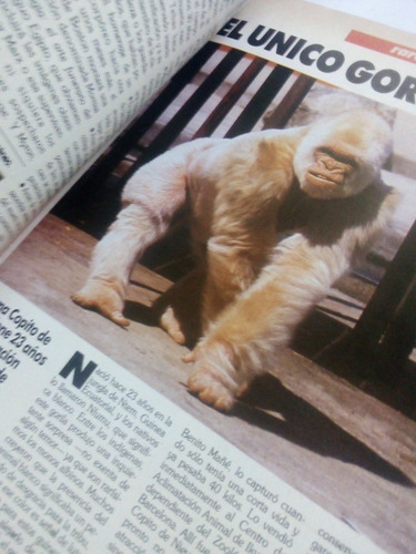 Revista Conozca Más Año 1 Número 1 Primer Número