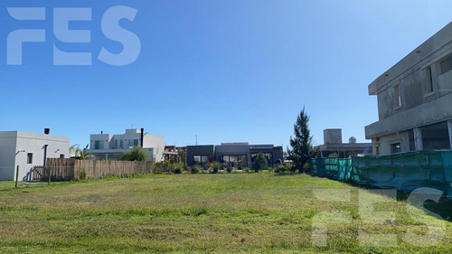 Imagen 4 de 6 de Venta Lote En La Alameda