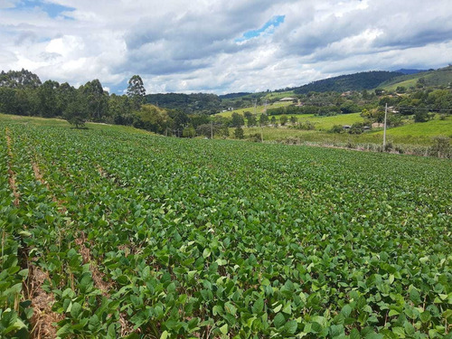 Imagem 6 de 6 de W20-tenha Seu Sitio Em Atibaia Lotes Maravilhosos !!!1