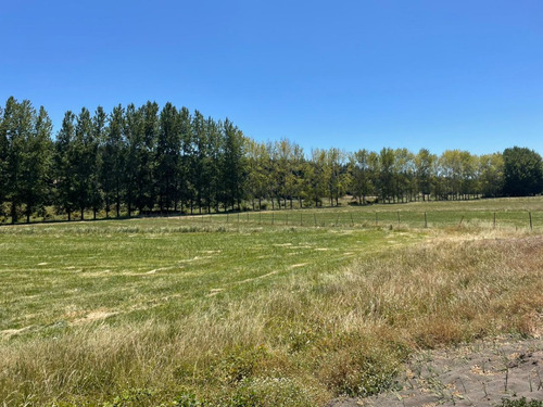 Imagen 9 de 10 de Parcela En Yumbel De 15.000m2