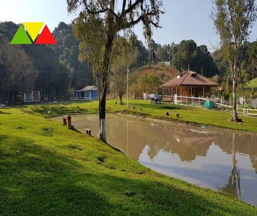 Imagem 9 de 30 de Chácara Em Cai De Baixo - Ch00088 - 34982990