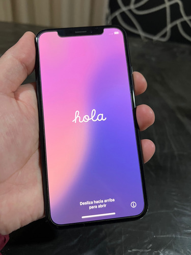 Iphone Xs 256 Gb Gris Espacial Liberado Impecable Gris Oscuro (Usado)