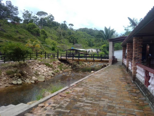 Imagen 10 de 23 de Cf. Se Vende Finca En La Fría, Cerca De La Termoeléctrica