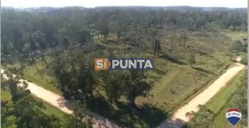 Imagen 5 de 5 de Chacra En Venta - Club De Polo