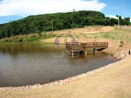 Imagem 6 de 6 de Terreno À Venda Em Monte Alegre - Te010325