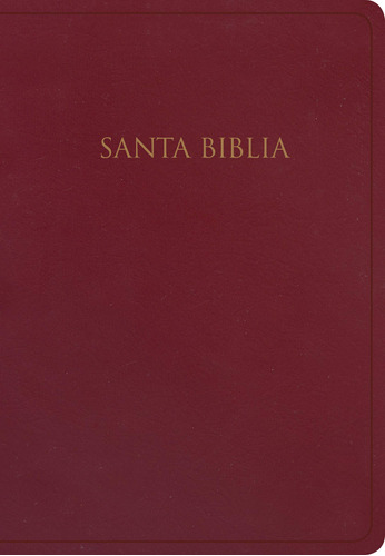 Rvr 1960 Biblia Para Regalos Y Premios, Borgoña Imitac 81cfd