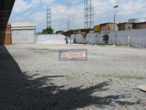 Galpão À Venda, 3000 M² De Área Construída - Vila Guilherme - São Paulo/sp - Ai877