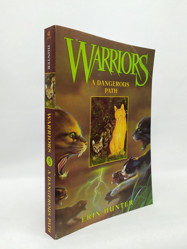 Warriors 5: A Dangerous Path