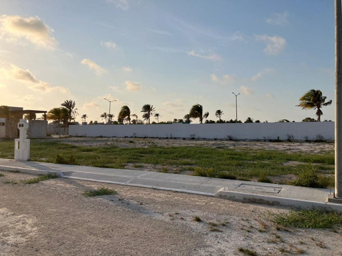 Terreno En Venta En Chelem, Privada Puerto Lindo, Progreso, Yucatán