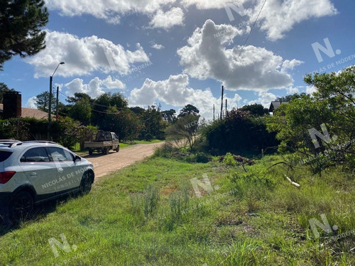 Imagen 5 de 8 de Tío Tom A 500 Mts. Del Mar - Punta Ballena Tio Tom