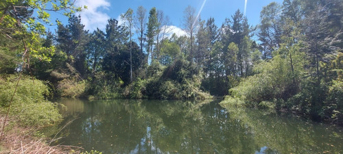 Imagen 8 de 17 de Fundo Avellanos - Loteo Cerrado, 15 M Villarrica