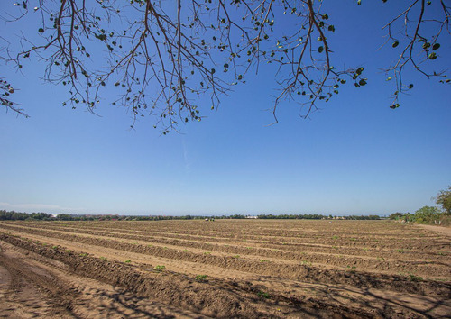 Venta De Terreno En Armeria, Colima