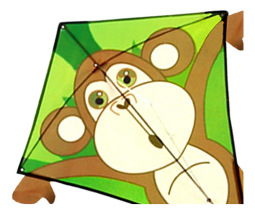Kite Para Niños Y Adultos Increíbles Cometas De Pájaros