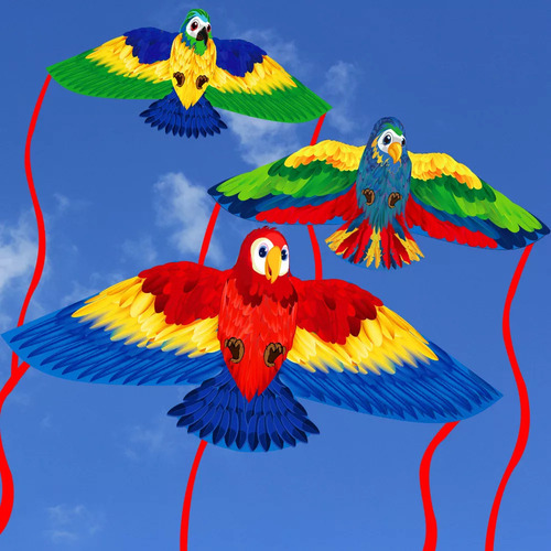 Ha Cometa Con Forma De Loro 3d Para Divertirse En La Playa