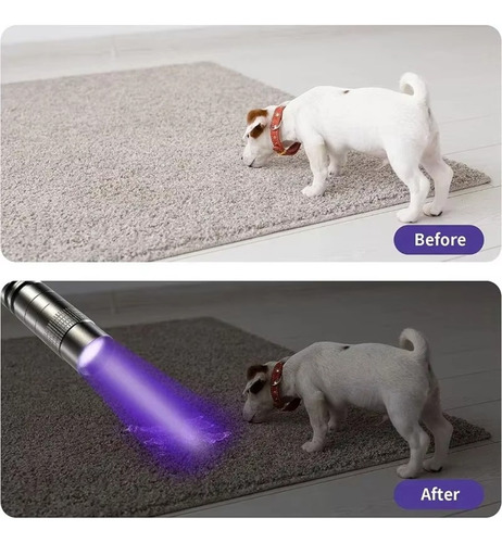 El Detector Portátil De Orina Para Mascotas Con Luz Violeta