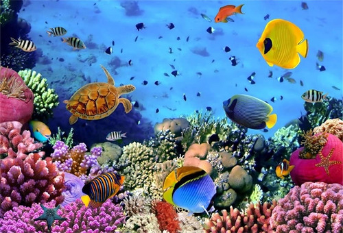 Aofoto 7x5ft Undersea Coral And Fish Background Colorful Mar