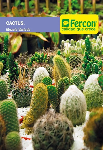 Semillas De Cactus Mezcla Variada 99% Pureza
