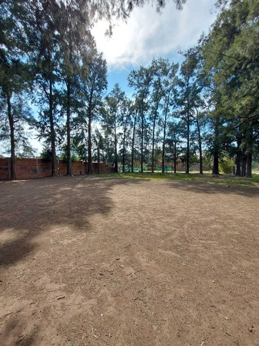Imagen 5 de 5 de Terrenos En Venta En Francisco Alvarez