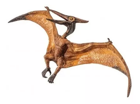 Pterodáctilo Dinossauro Brinquedos Jurássico Pteranodon Estatueta de  Dinossauro Pterodáctil Realista Ornamentos para Crianças Meninos Meninas e  Dino Colecionadores Presentes : : Brinquedos e Jogos