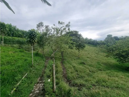 Finca Para La Venta Entre Quimbaya Y Filandia Con Excelenteubicación