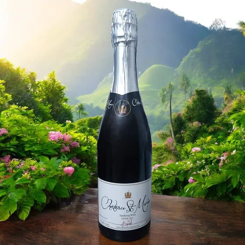 Vino Espumoso Demi Sec Chateau St Marie 750 Ml