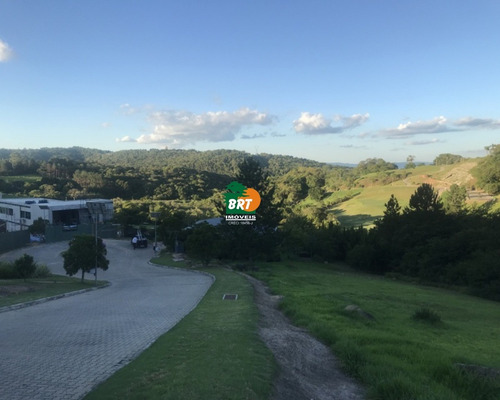 Imagem 5 de 8 de Terreno - Te00164 - 70456139