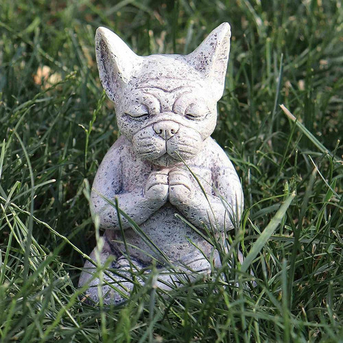 Estatua De Un Perro Meditando, Buda, Estadística De Meditaci