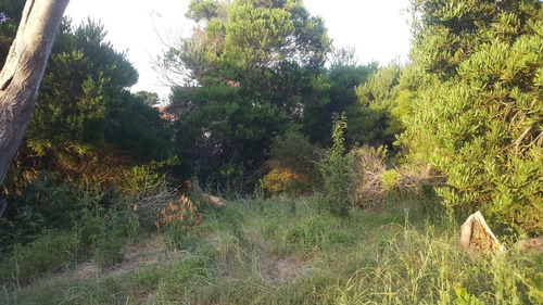 Imagen 5 de 5 de Excelente Ubicación- Lote En Altura- 606mts- Zona Comercial