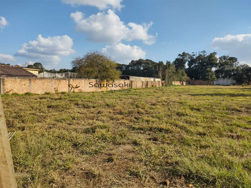 Imagem 3 de 13 de Terreno Para Aluguel Em Uberaba Curitiba-pr - 7340