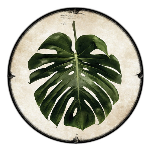 #173 - Cuadro Decorativo Vintage Retro Hoja Monstera Planta