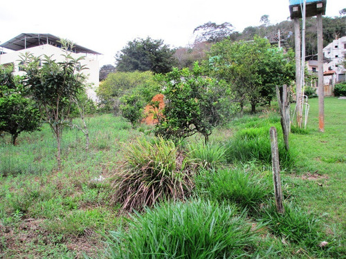 Imagem 15 de 15 de Chacara - Inacio Martins - Ref: 2853 - V-anp2853