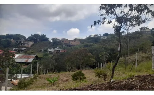 Venta Lote 377 Mts2, La Reforma, Valle Del Cauca, 12674-1