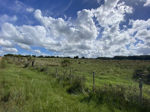 Venta Chacra 10 Hectáreas Ruta 104 Manantiales
