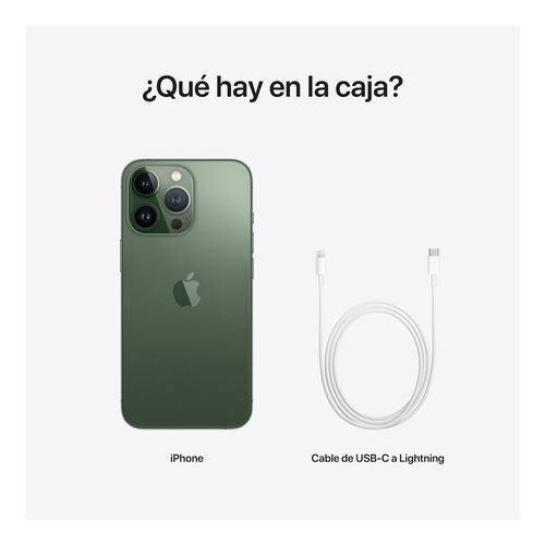 Imagen 10 de 10 de Apple iPhone 13 Pro (256 GB) - Verde alpino