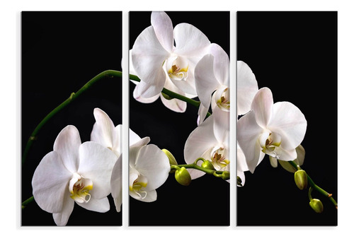Set De 3 Cuadros Orquideas Blancas En Rama 90x130cm
