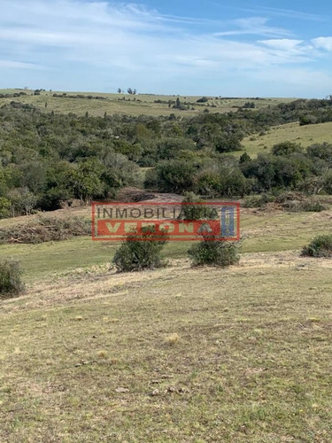 Imagen 24 de 30 de Venta Campo Ubicado En Garzón