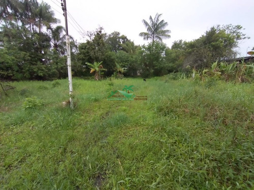 Imagem 26 de 30 de Chácara Á Venda Em Mongaguá!! - Ch0220