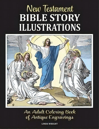New Testament Bible Story Illustrations, De Linda Wright. Editorial Classic Bookwrights, Tapa Blanda En Inglés