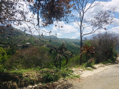 Imagen 5 de 8 de Se Vende Terreno 555m2 Colinas De Caicaguana 0780