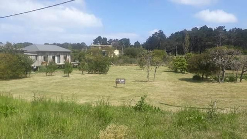 Terreno En Venta En San Vicente