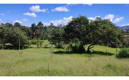 Finca Vía Rionegro La Ceja (quirama)