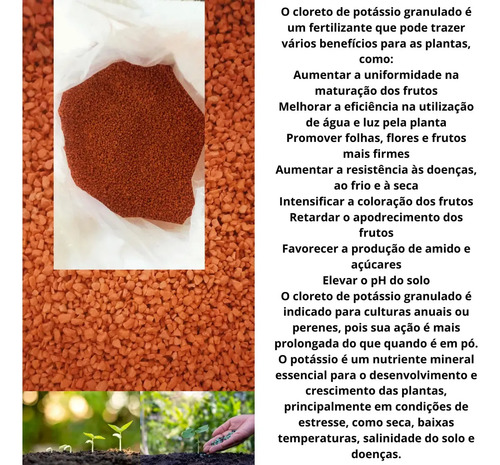 foto de Kit Adubo Orgânico com Ureia, Cloreto de Potássio e Superfosfato de 3kg para Plantas