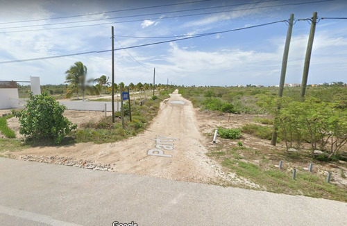 Imagen 7 de 24 de Terreno En Playa Chicxulub En Venta. Con Acceso A La Playa
