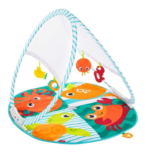 Gimnasio Portátil Para Bebe Fisher Price, Fxc15