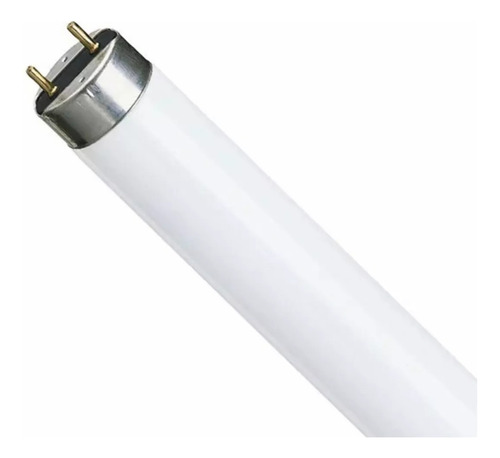 Lampada Fluorescente T10 20w 5000k G13 Luz Do Dia Osram