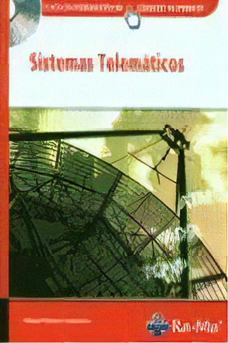 Sistemas Telematicos, De Manuel Santos Gonzalez. Editorial Ra-ma, Tapa Blanda, Edición 2007 En Español
