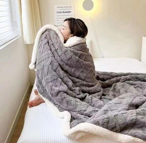 Frazada Polar Plush 2 Plazas Térmica Con Chiporro Premium