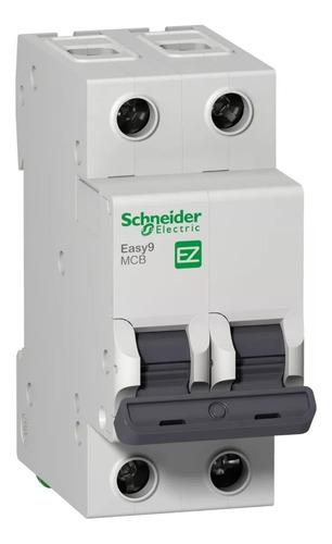 Termica Bipolar 2x25a Schneider 